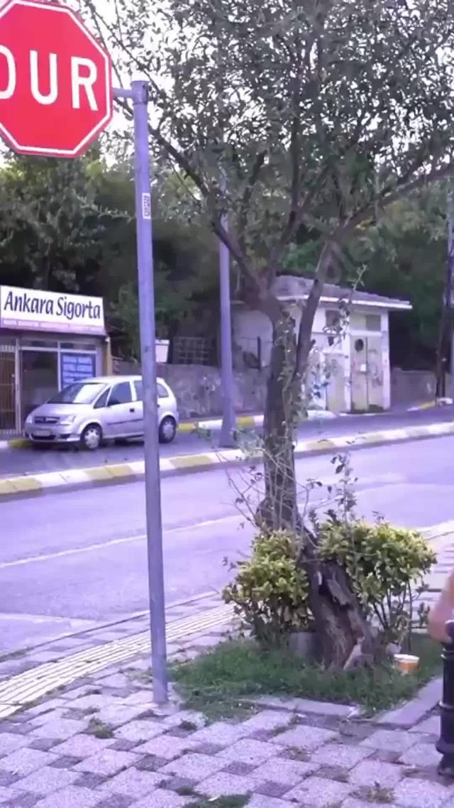 Take a picture with this translation tool