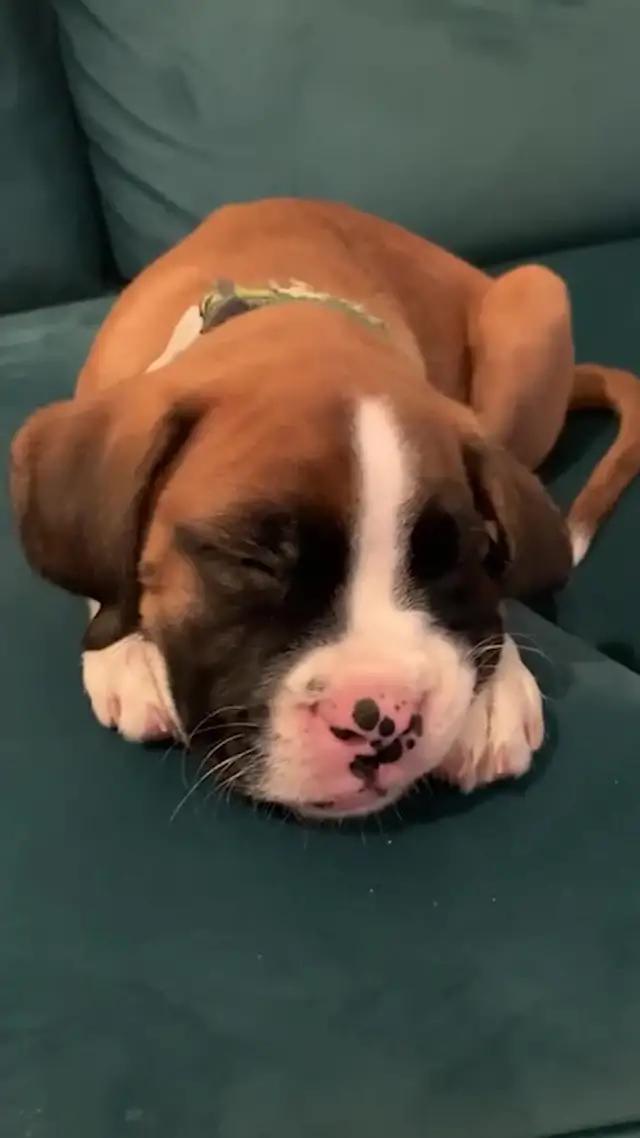 Ready to make the perfect makeup for your face?