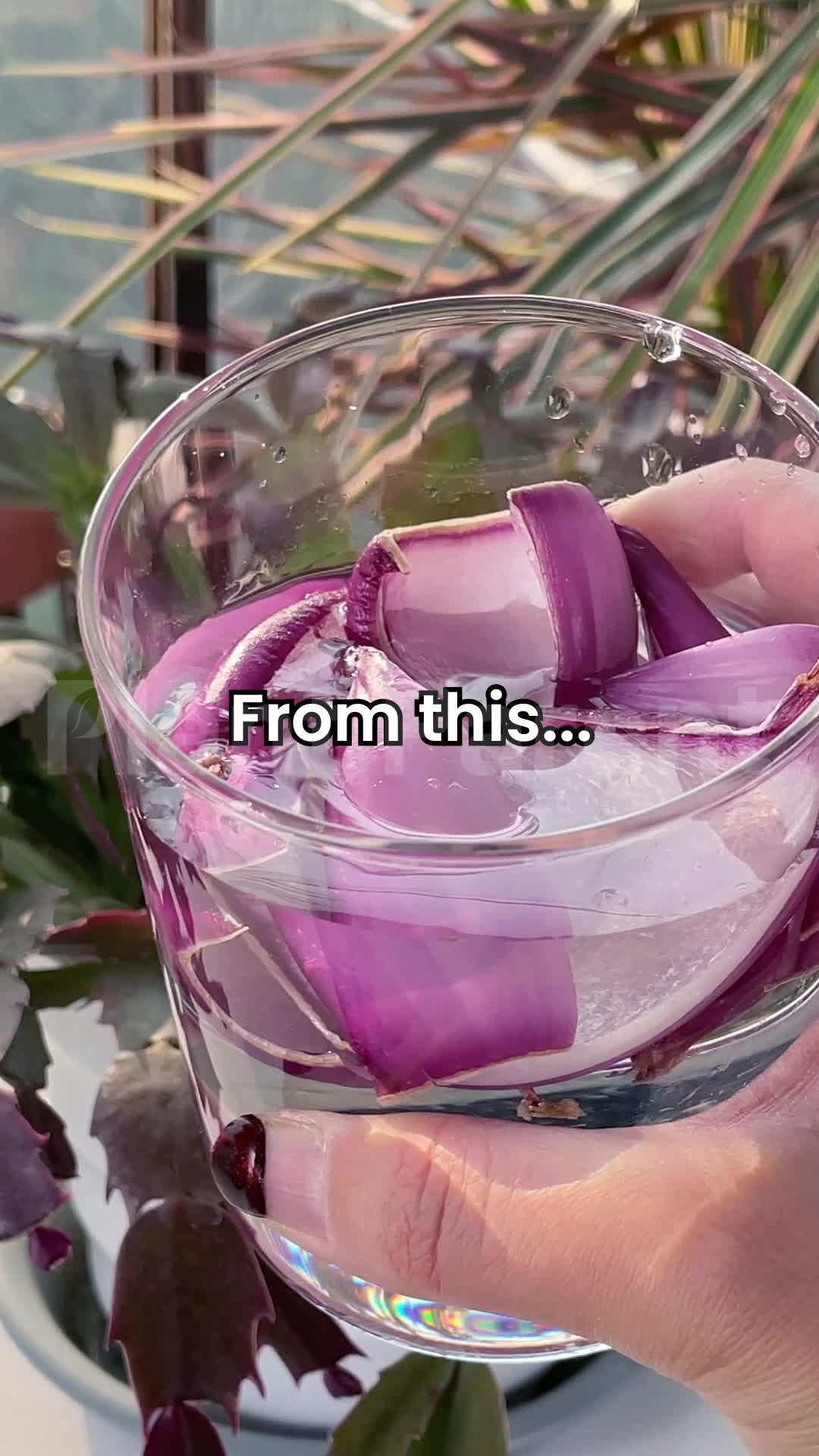 Plant care tips guide