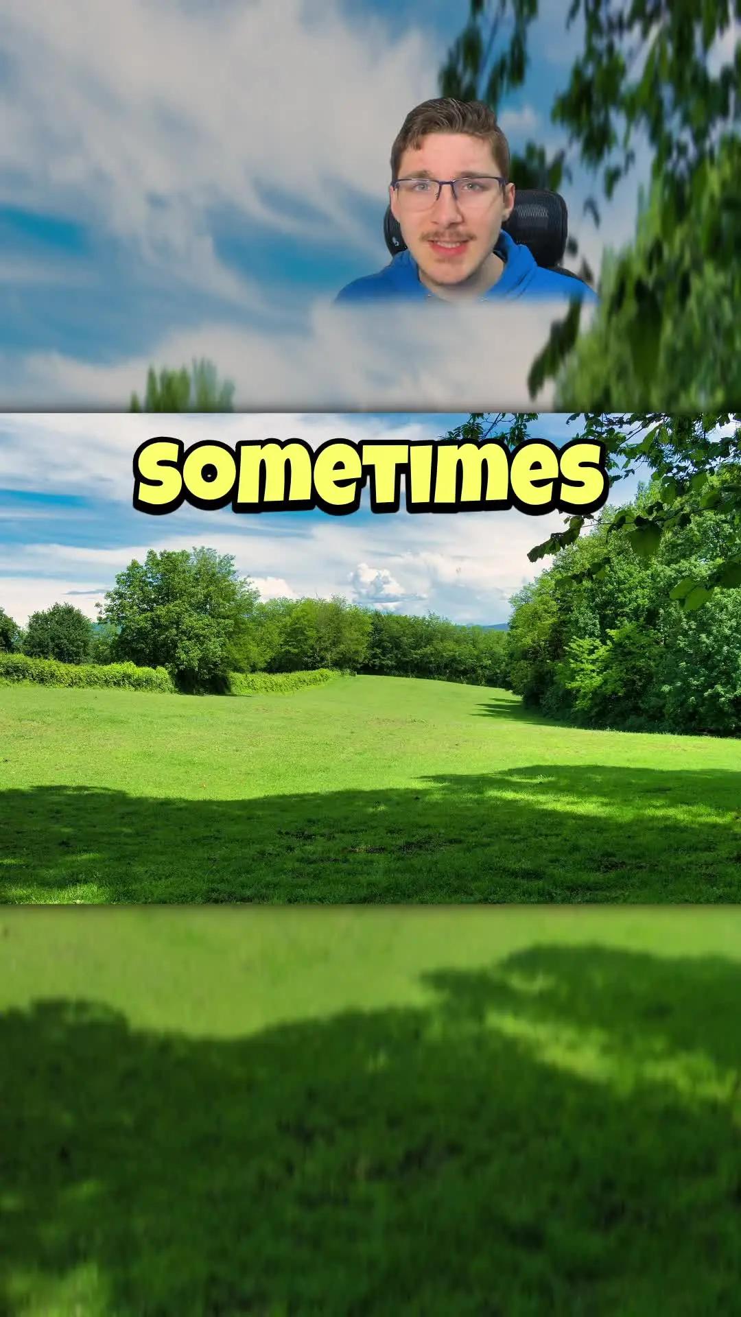 Urgent Quest! Monsters Ahead!