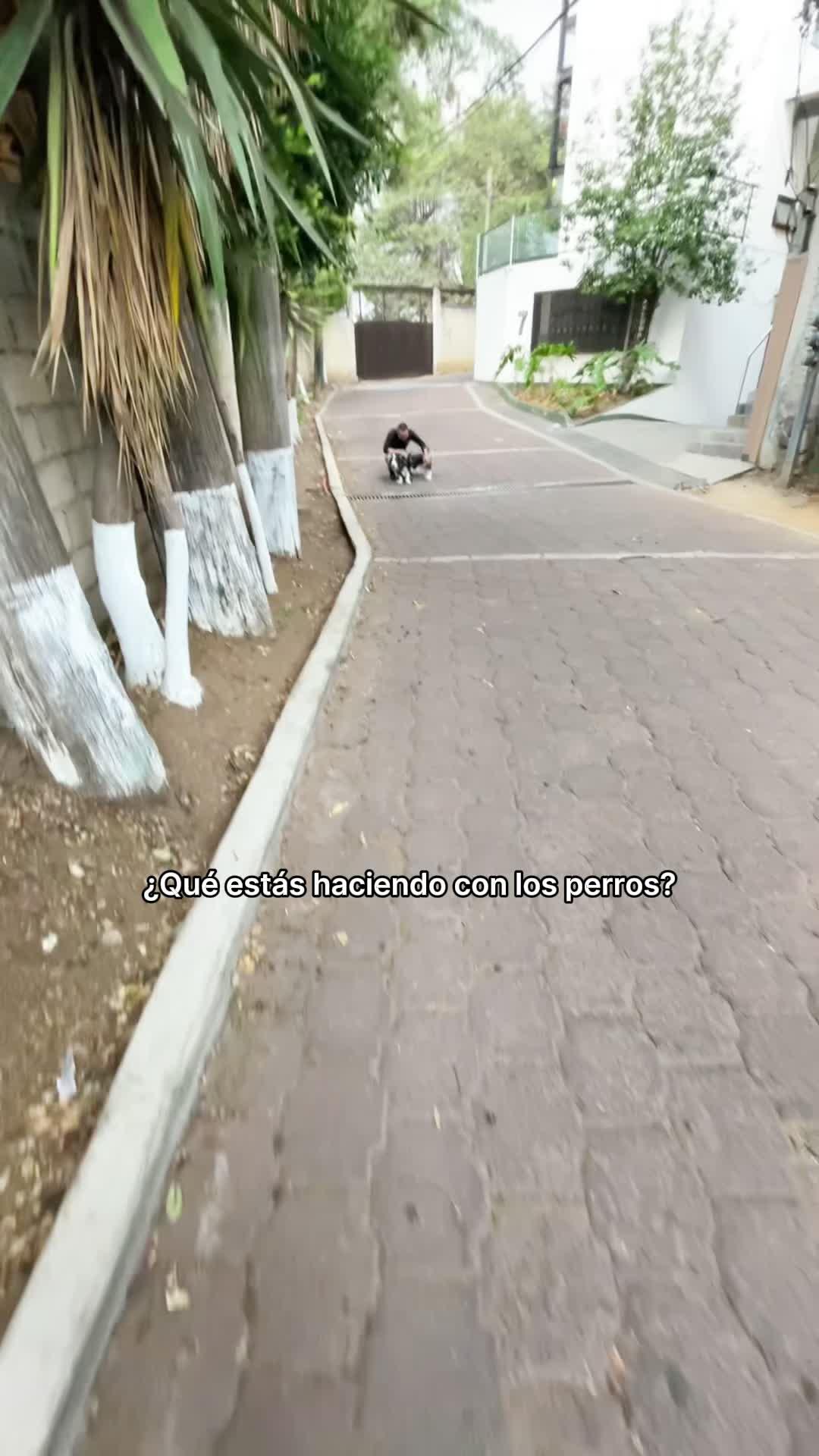 Local insights, zero cost! Tune in to your town's heartbeat for free.