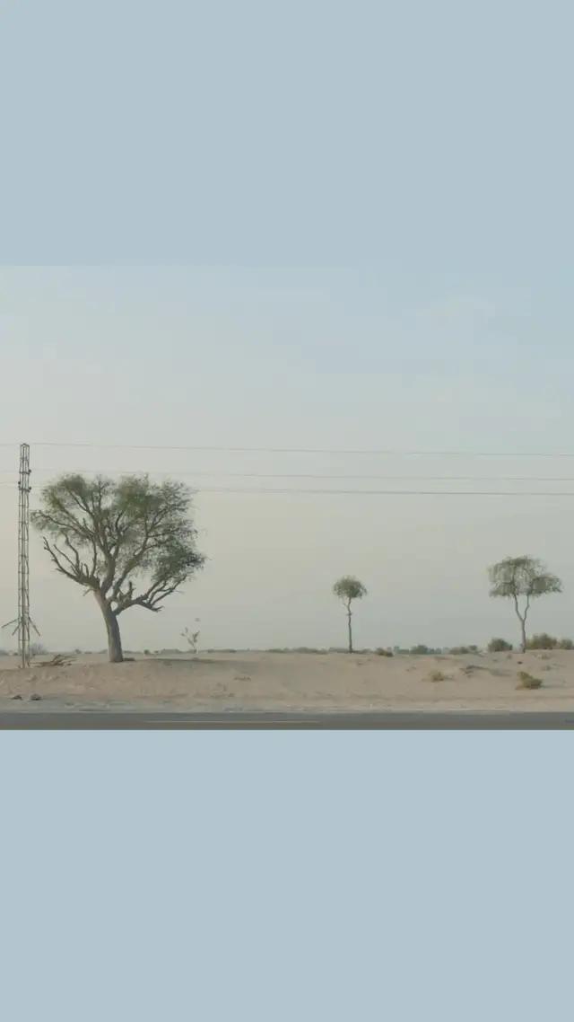 Hala - Download Dubai's most affordable taxi on the Careem App