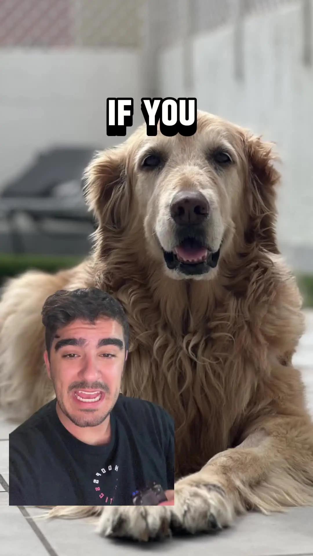 Make your shot a Masterpiece with Ereasy