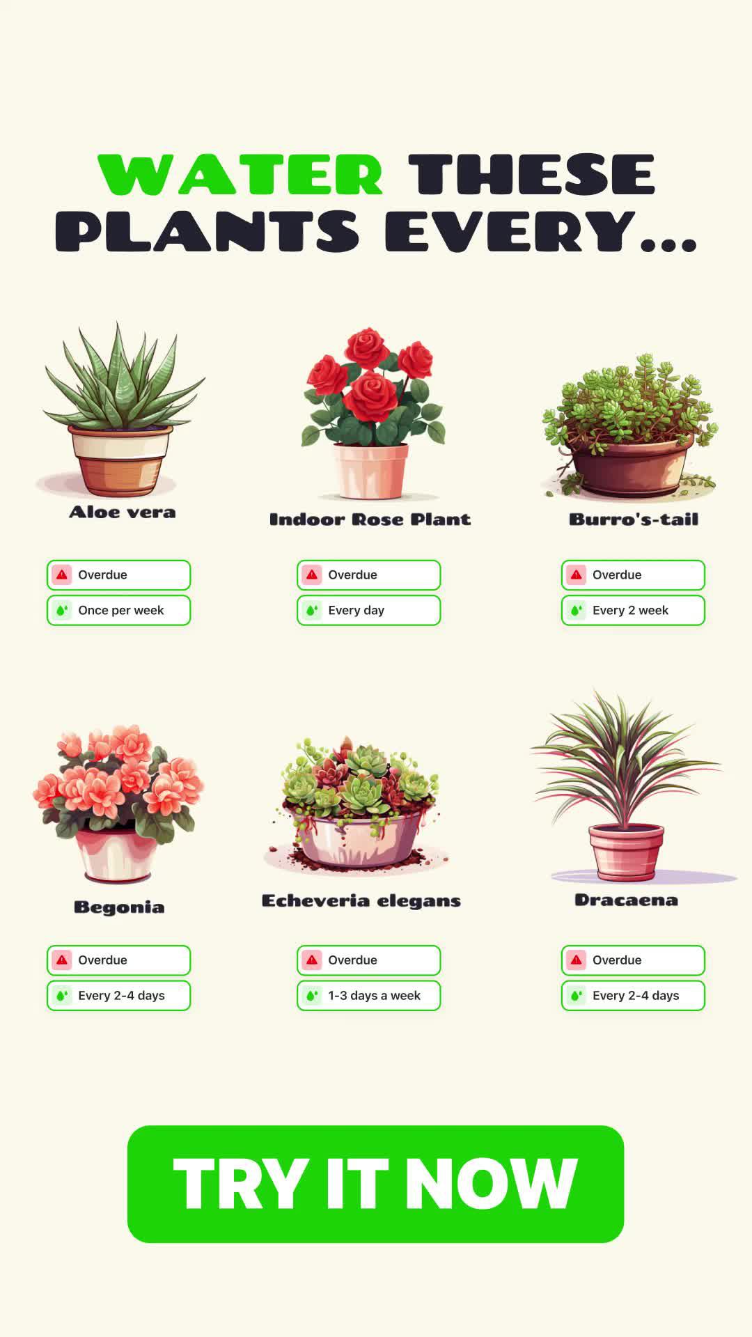 Track your plants' progress. Get personal notifications on plant care