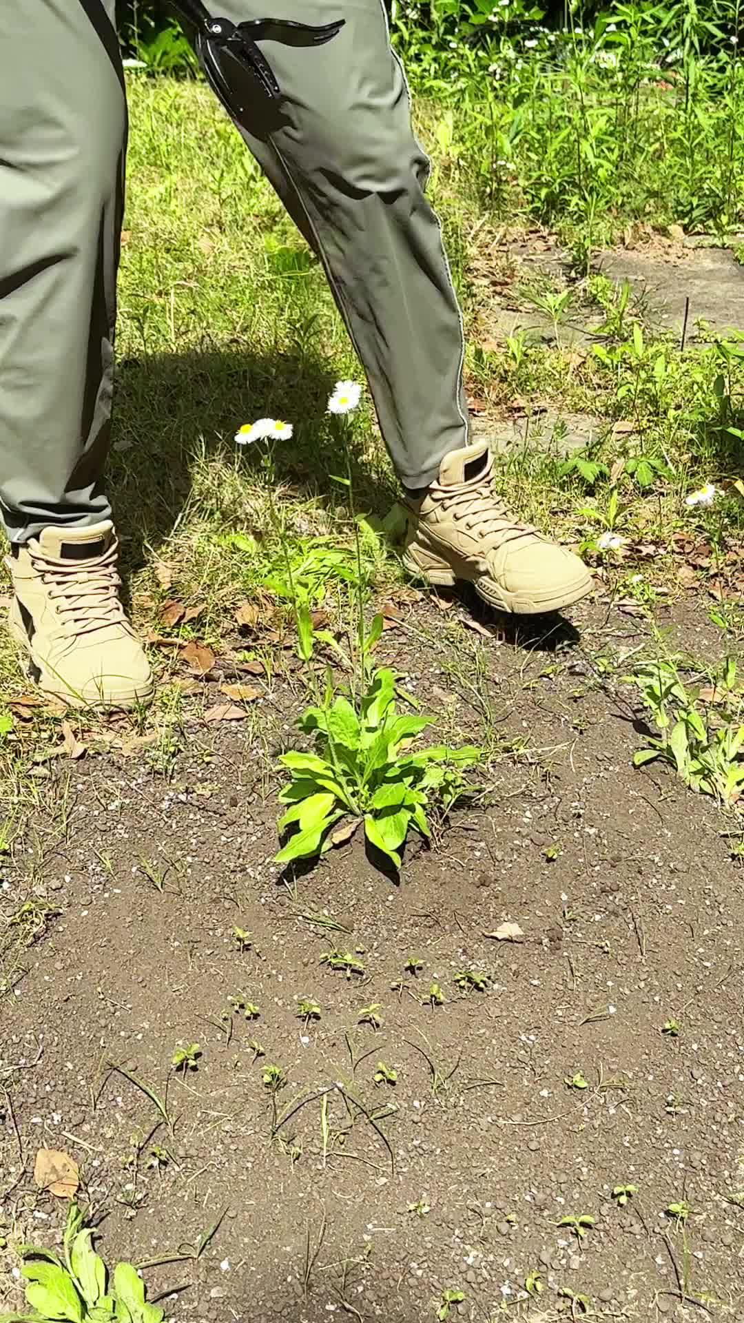 Temu garden must-haves!!!❤️Transform your garden into a haven of comfort and style with Temu! 🏠✨ Get ready for @temu deals! ❤ Ships from US Warehouse #temusale #temuhaul #temu #temufinds #temudecor #temuhome #homefinds #cocyhome #cheapdecor #tryonhaul #homemusthave #fyp