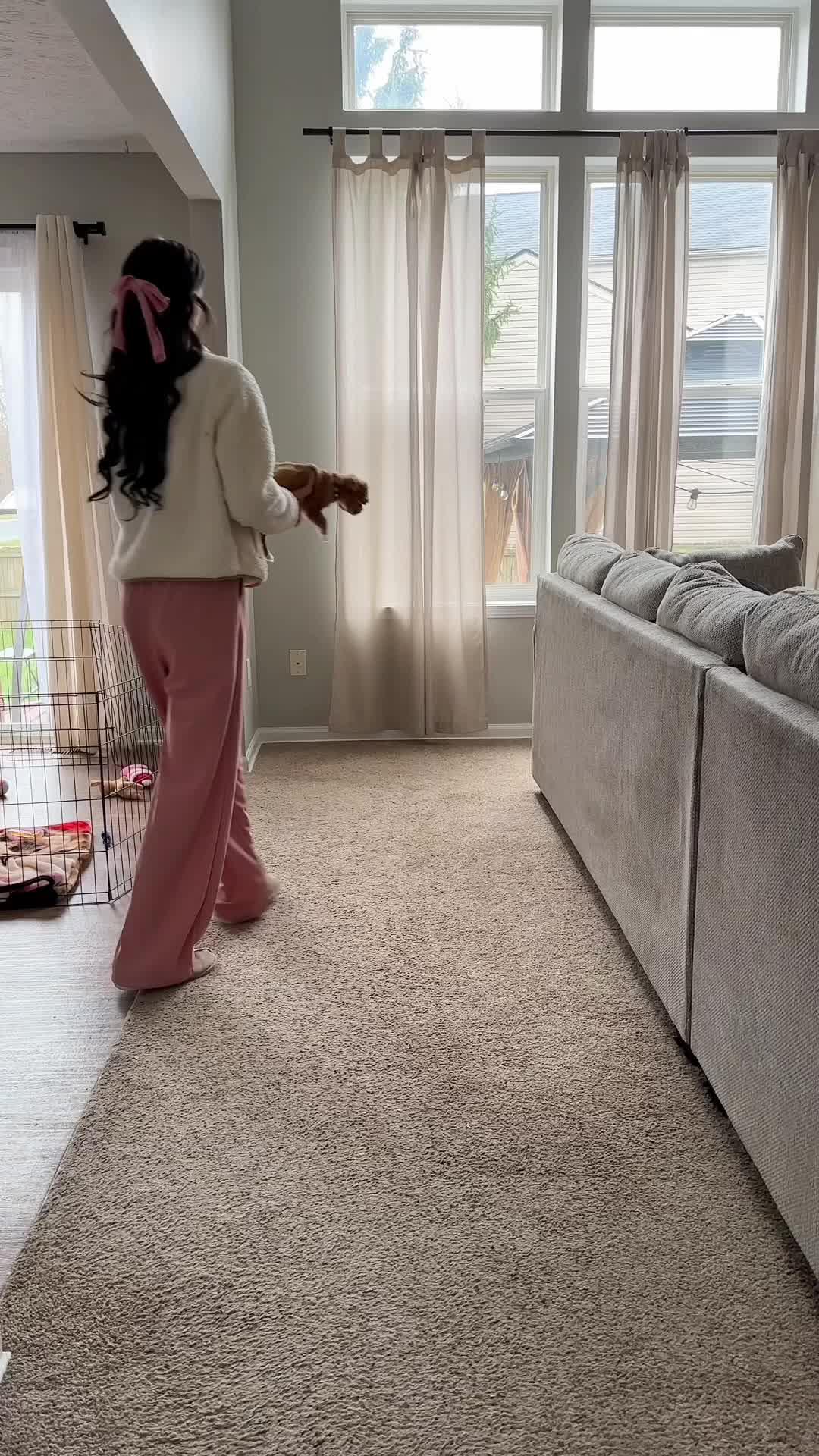 Elevate Your Pup's Skills in days!