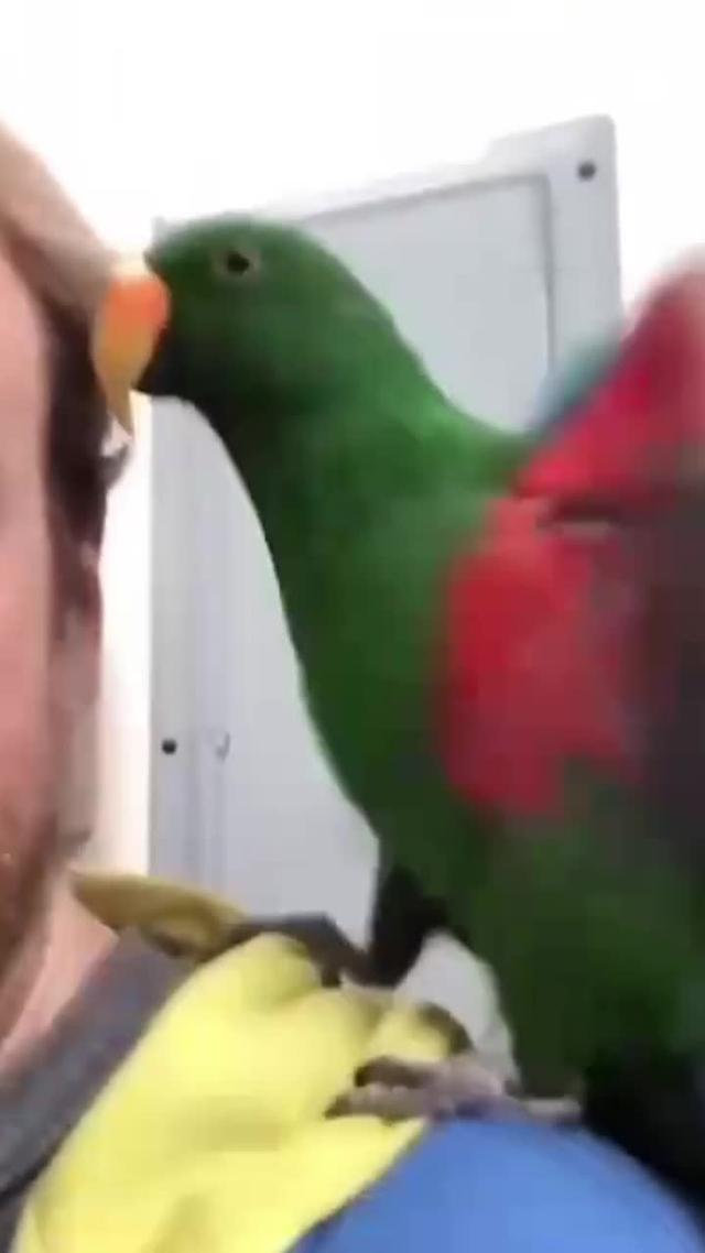 Come and shoot them all！