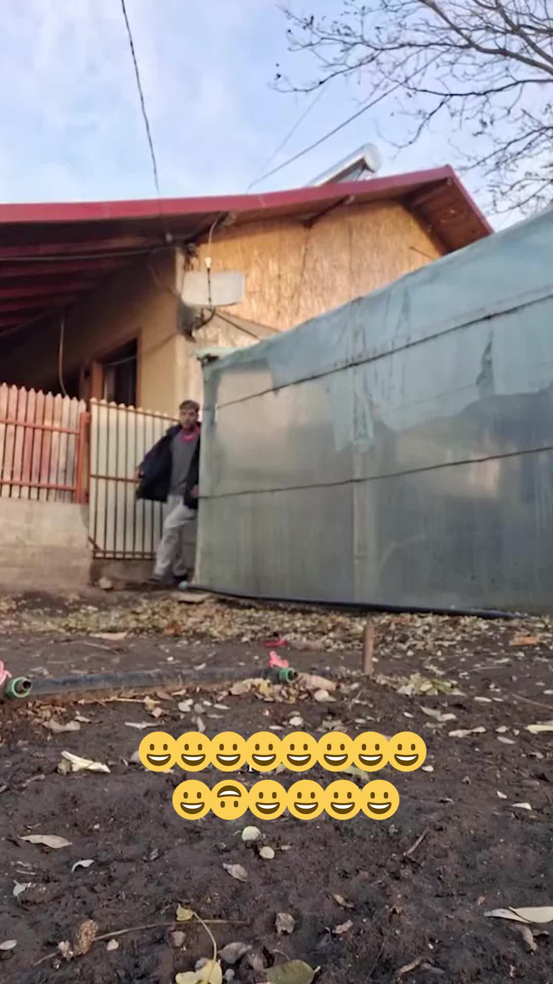 Build, Craft, Survive!