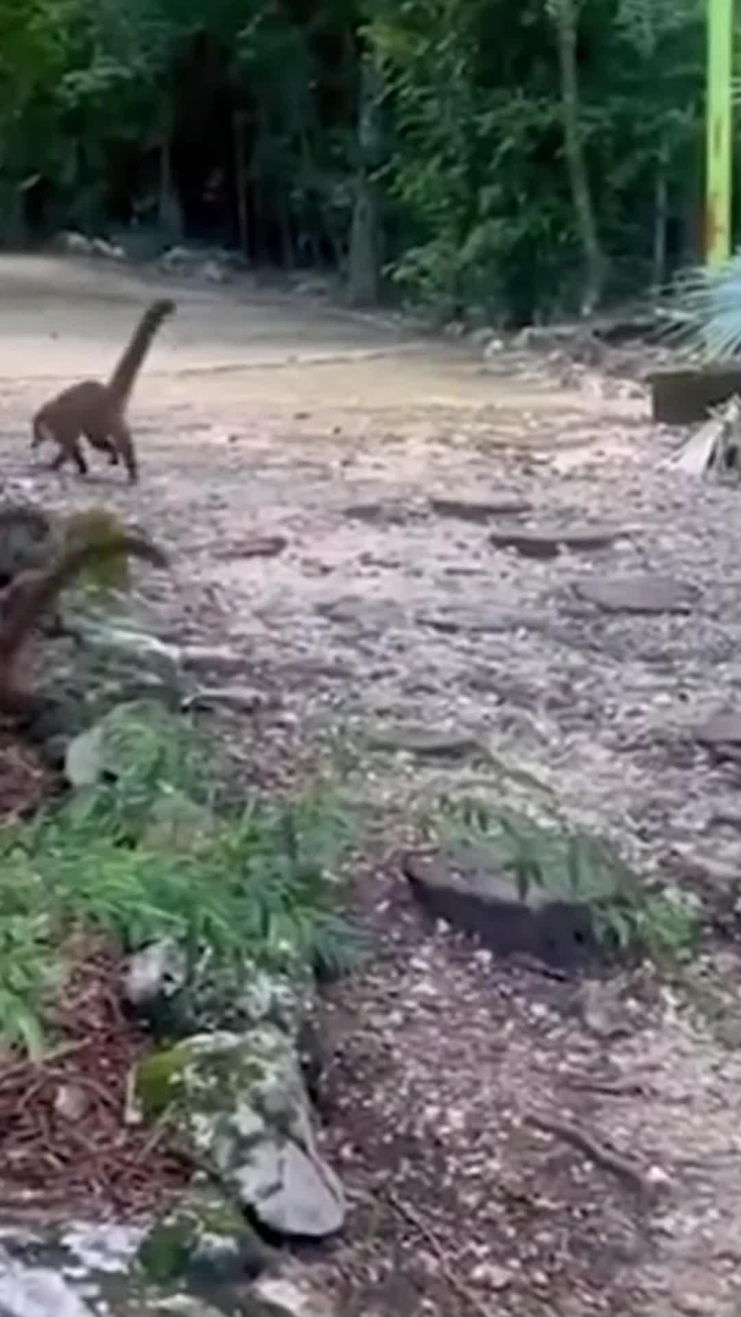 Capture Various Mecha Beasts & Create Your Own Beast Army!