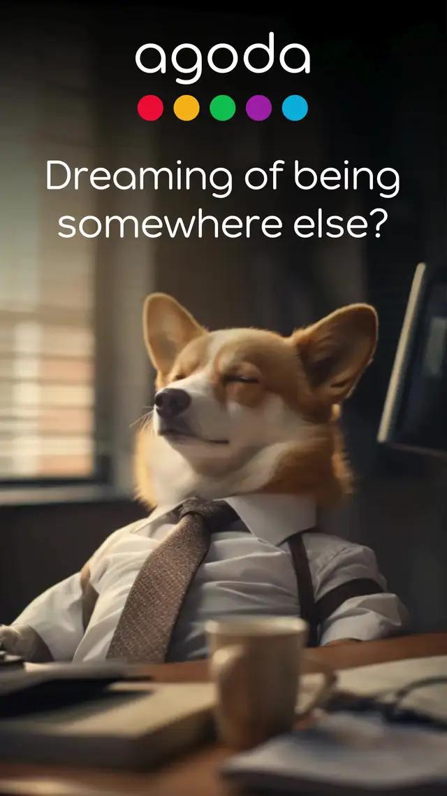 See the world for less