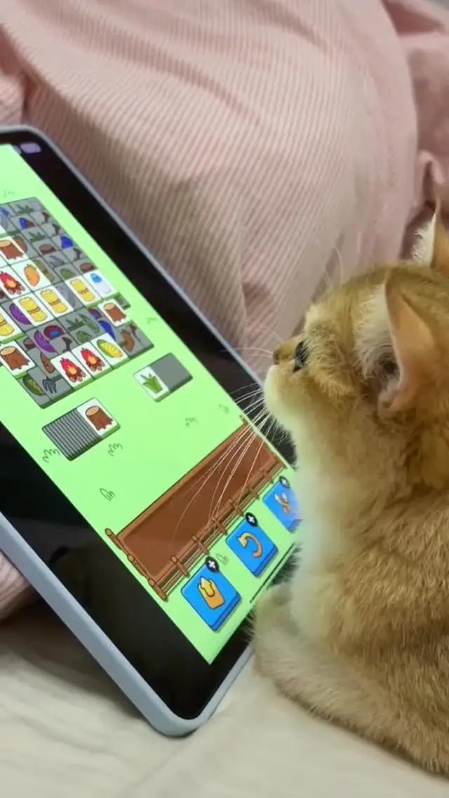 敢不敢睡覺前玩羊了個駝？