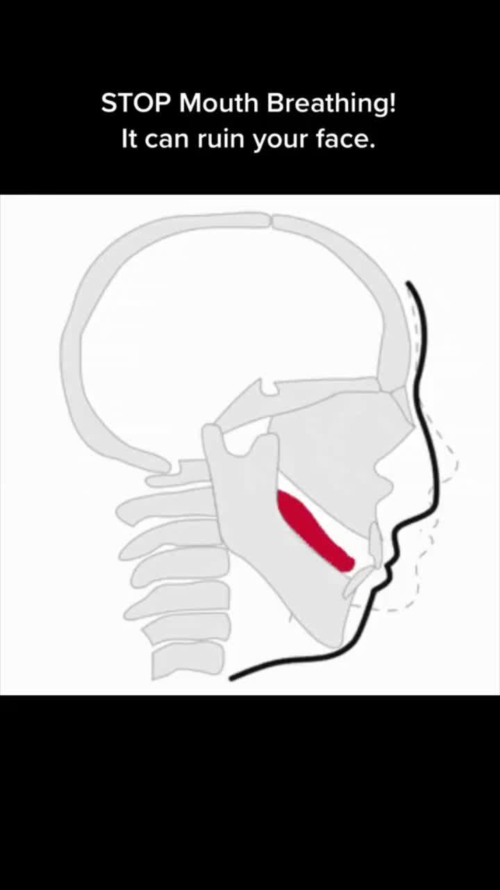 Get a good night’s sleep and learn your patterns with Sleep Tracker.