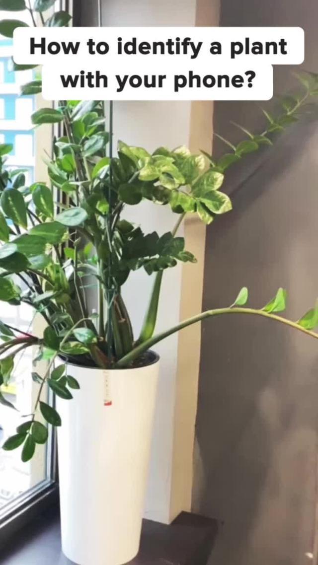 Get Plantyx for FREE!