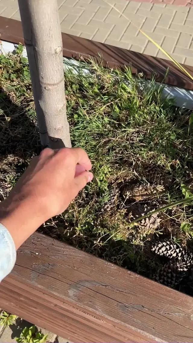 The most comprehensive stone and mineral recognition app