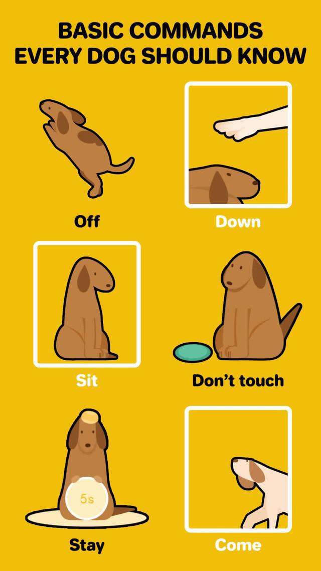 Best app to know your poppy