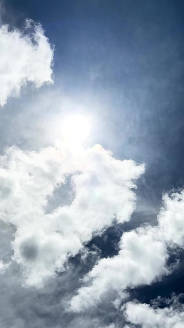 Play Bingo & Win Real Money!