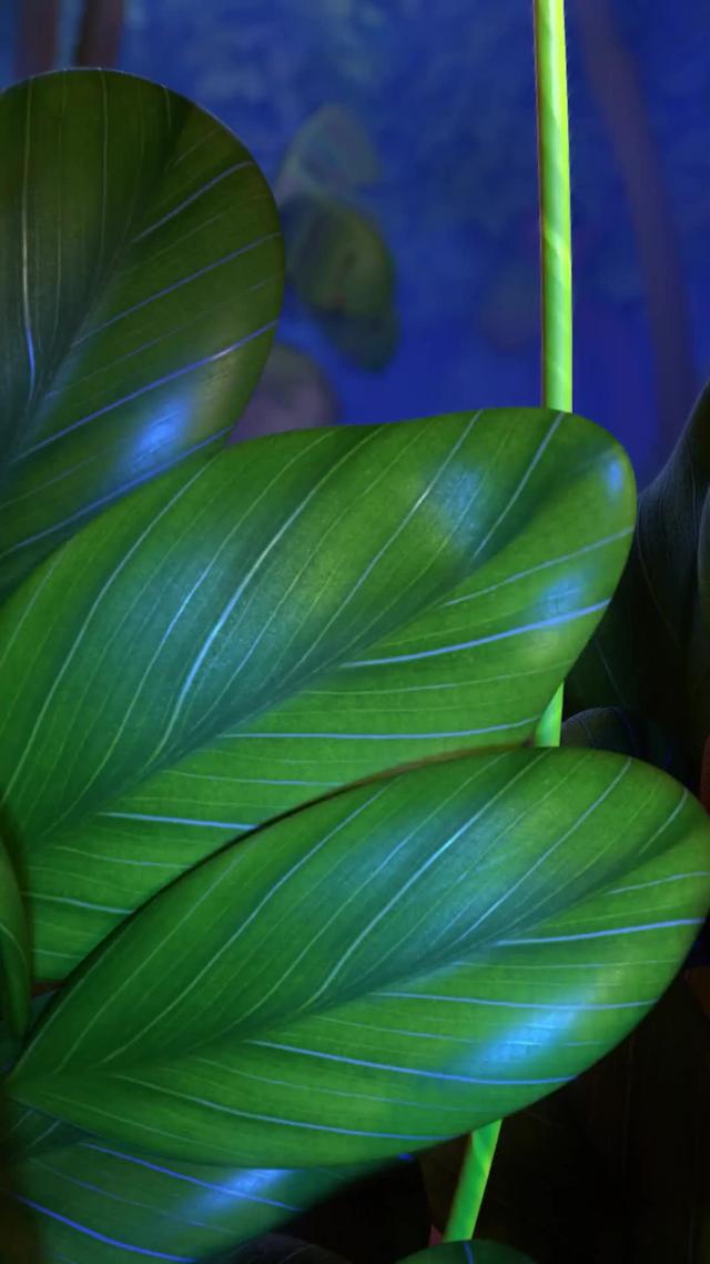 Play Family Island for Free!