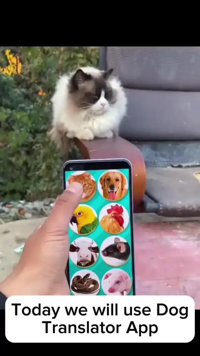 التحميل الان