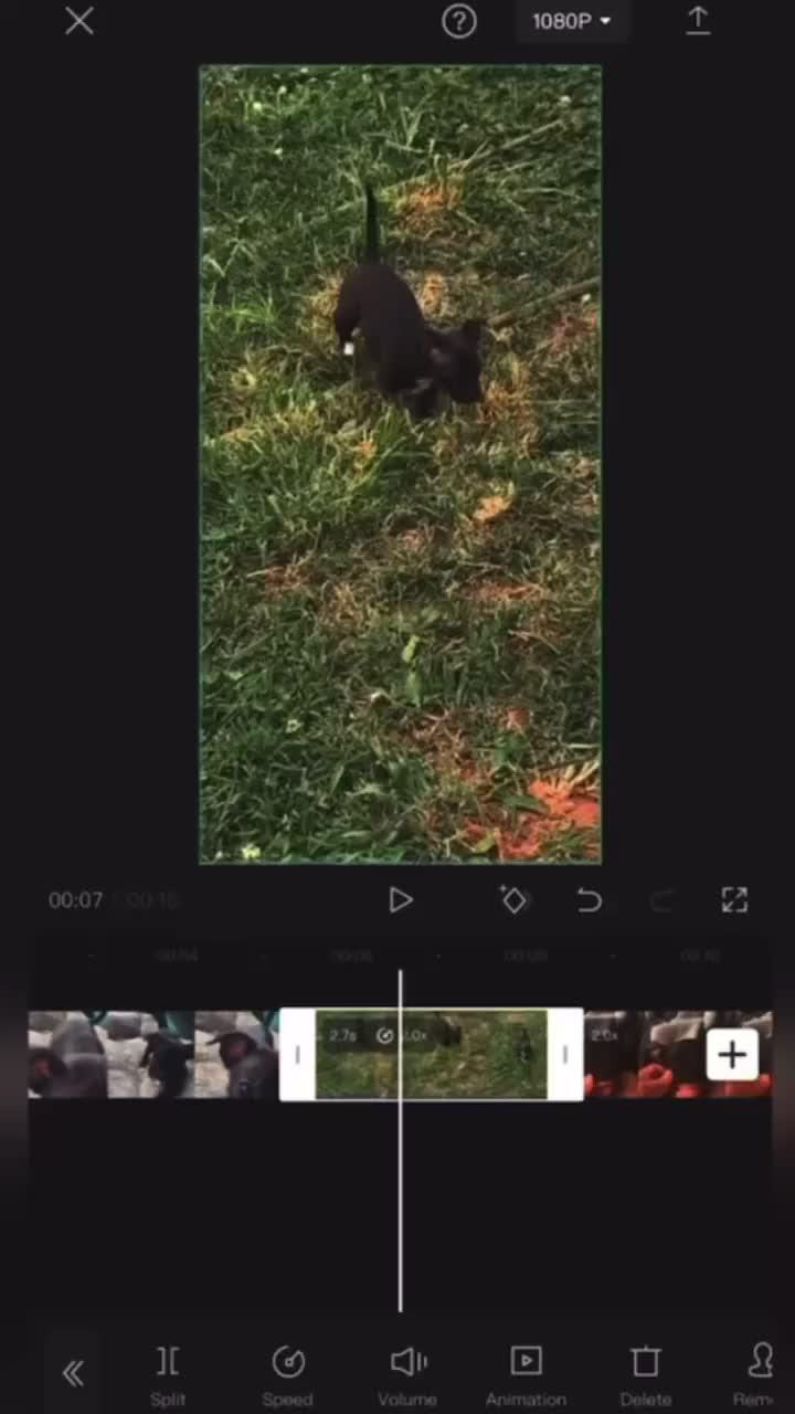 Capture the moment and Cut!