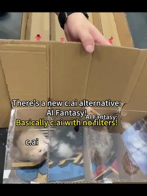 NO FILTERS, Chat freely!