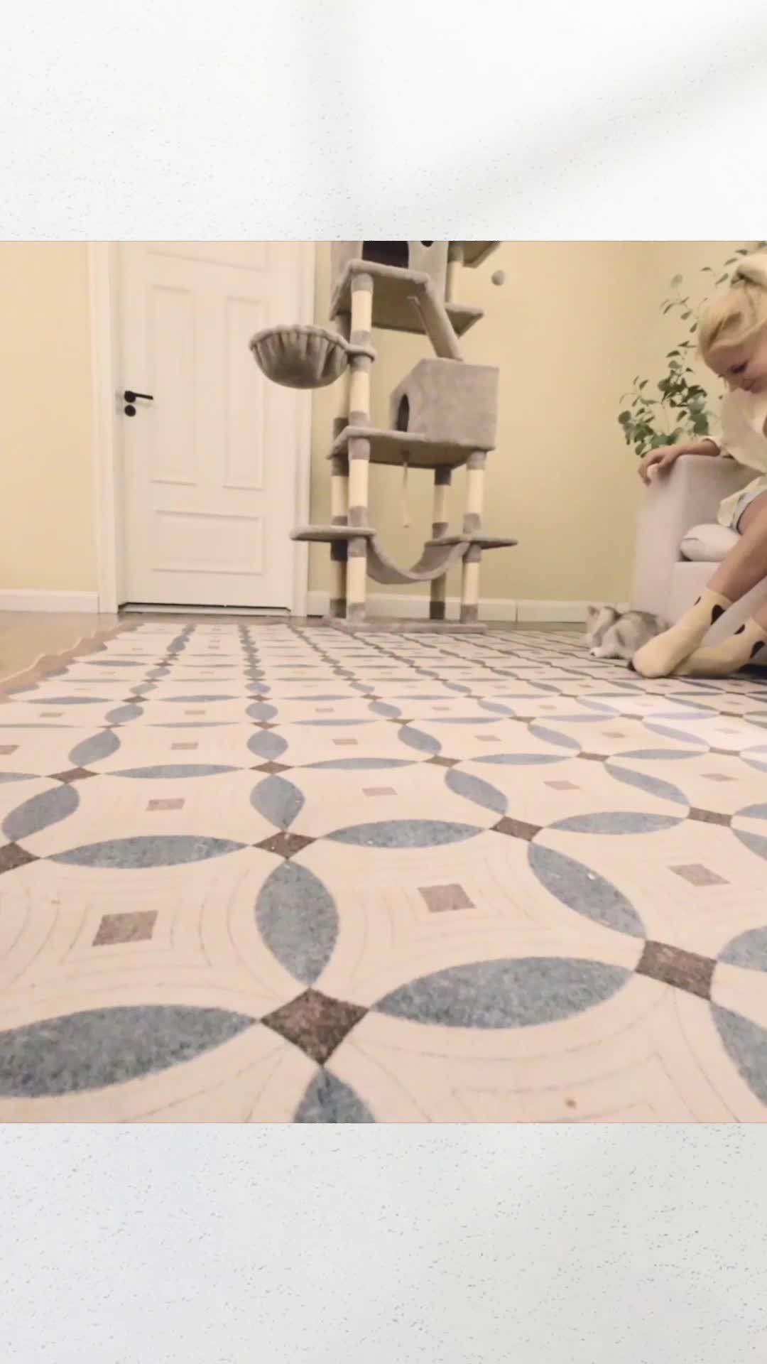 Pawsitively purrfect gift for our furry friends! 🐾 Because every wag and purr deserves to be celebrated. 🎁💕 #FurryLove #PetGifts #CherishedMoments #PetsOverEverything