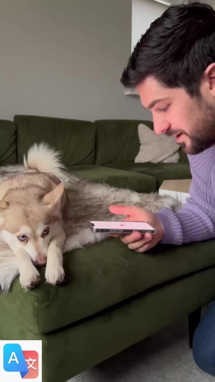 Easy translate text to English!