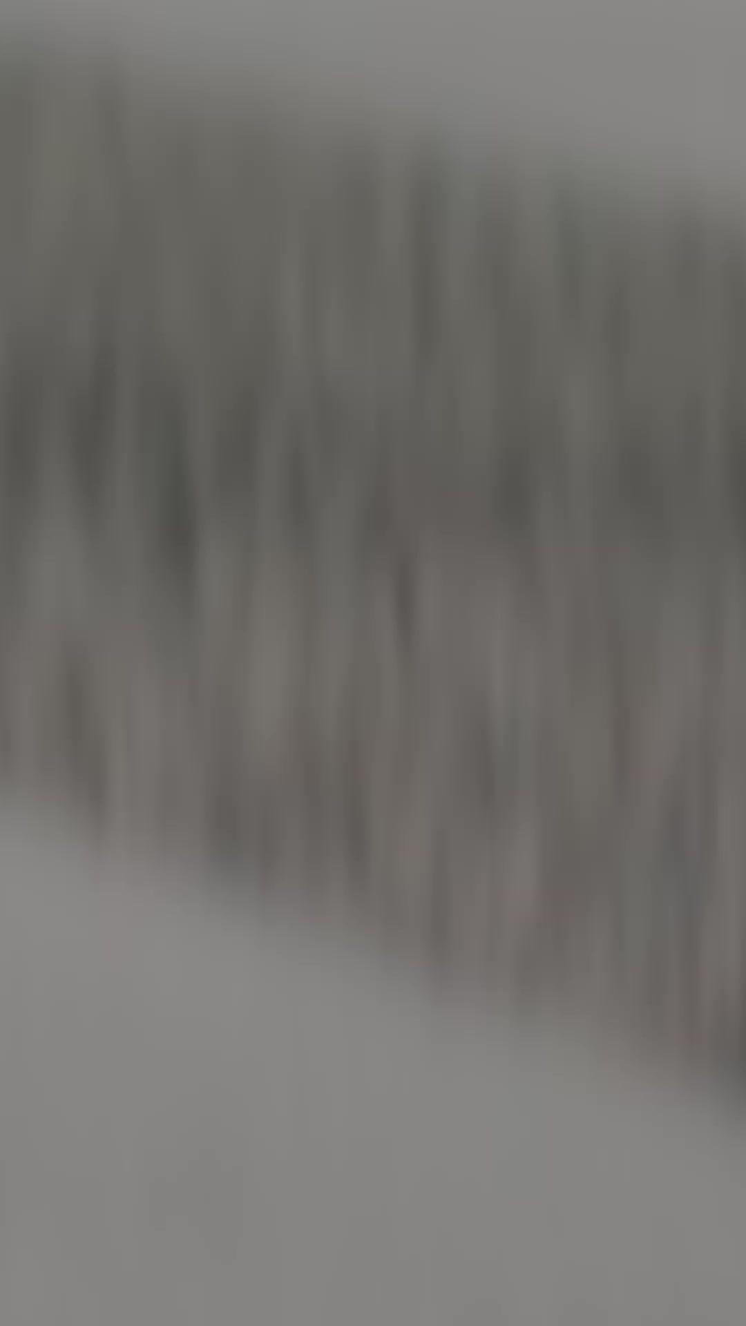 無料で読める経済ニュースアプリ