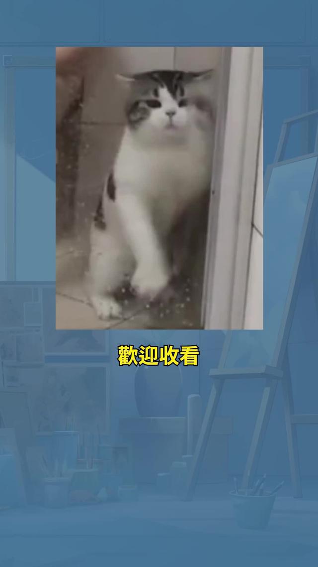 畫猜新玩法-秘密通畫 ，我賭你猜不到