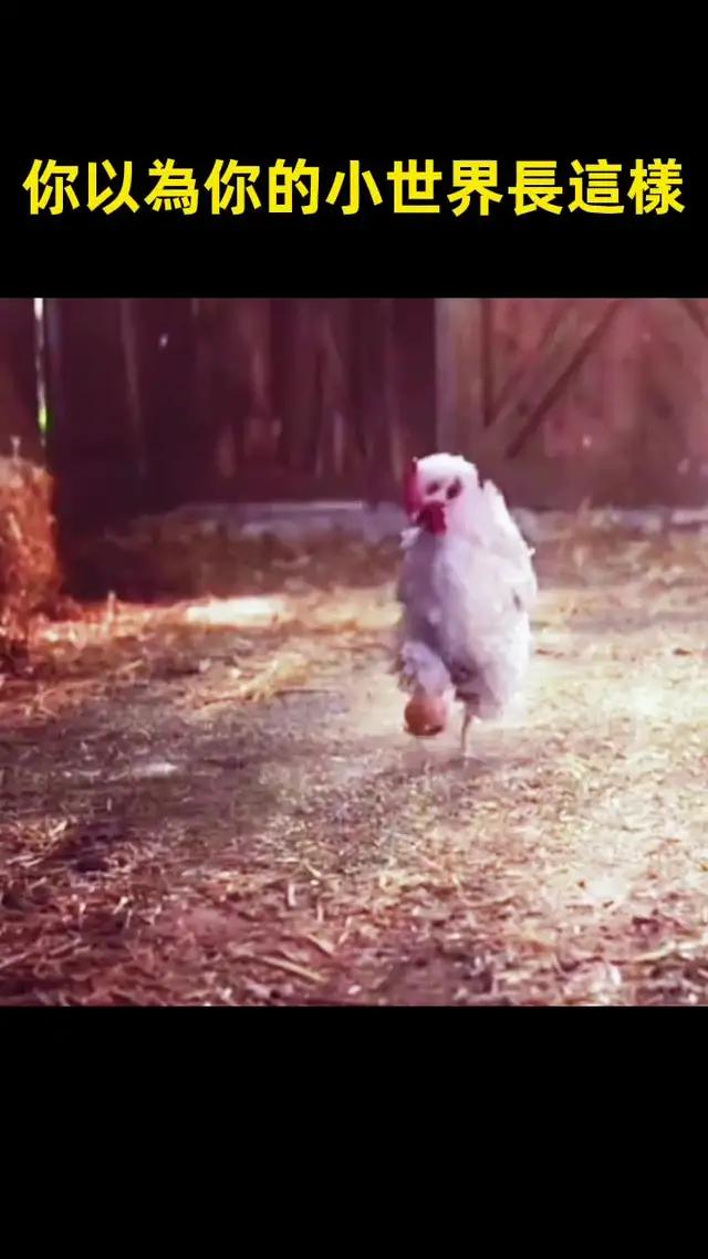 來WePlay「小世界」體驗全新社交模式，快向你的朋友展示新狀態！