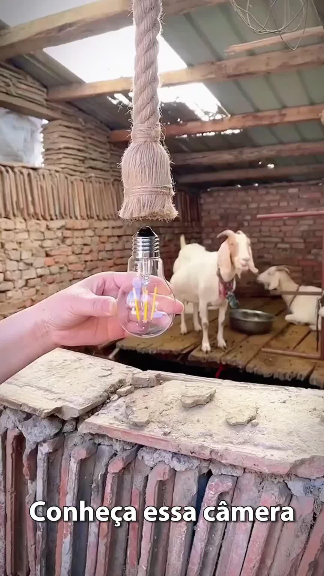 Câmera Lampada Ip Inteligente Panoramica Yoosee Wifi E Espiã