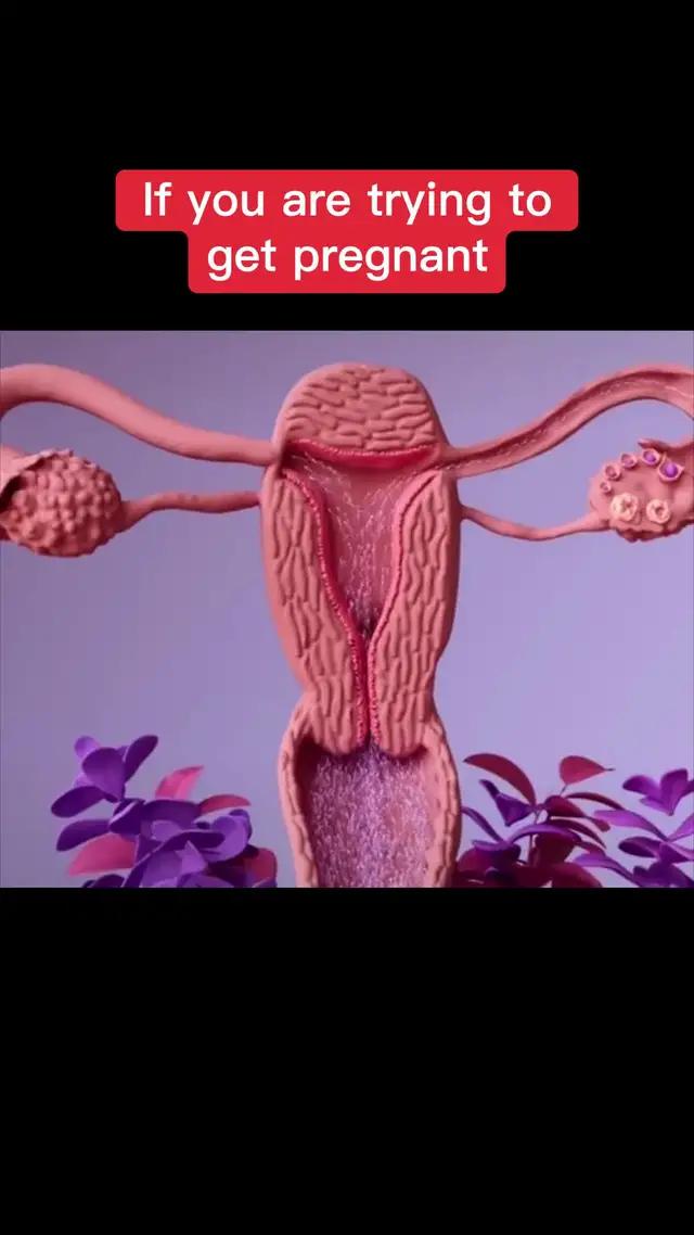 Get pregnant naturally in a scientific way