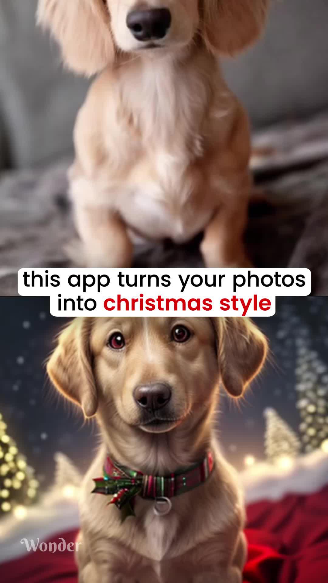 This app turns your photos into amazing AI images!