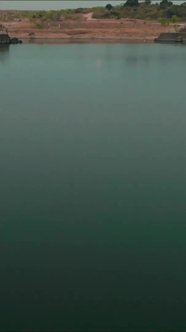 House of The Dragon Collection: exlusiv auf unserer App!