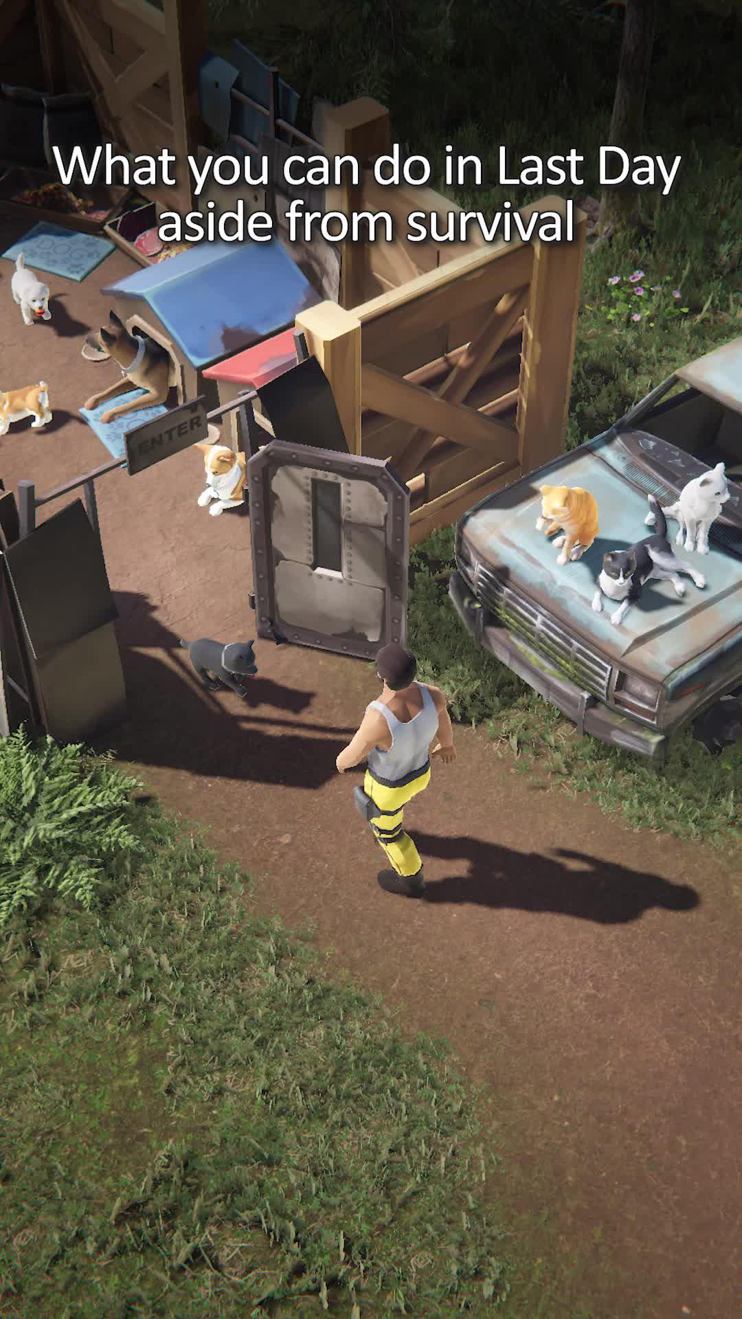 What are you gonna do today?