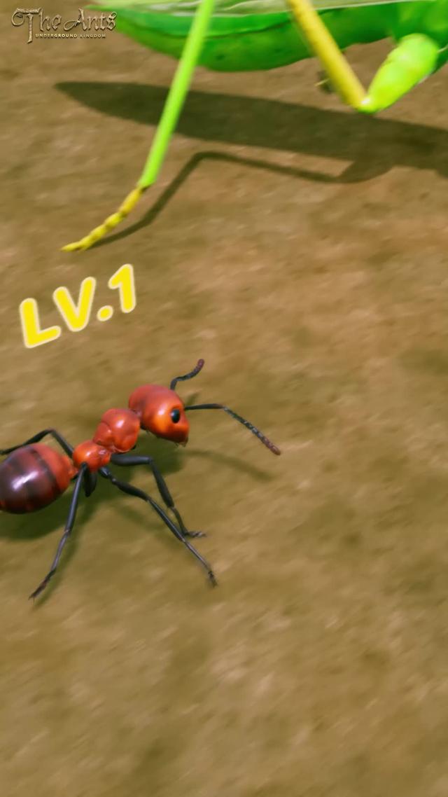 生存と繁栄のために