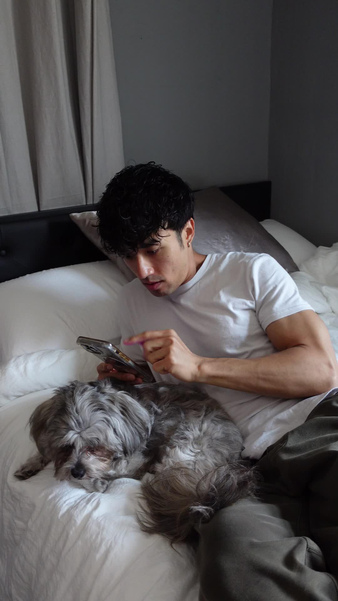 Play Bingo Blitz For FREE!