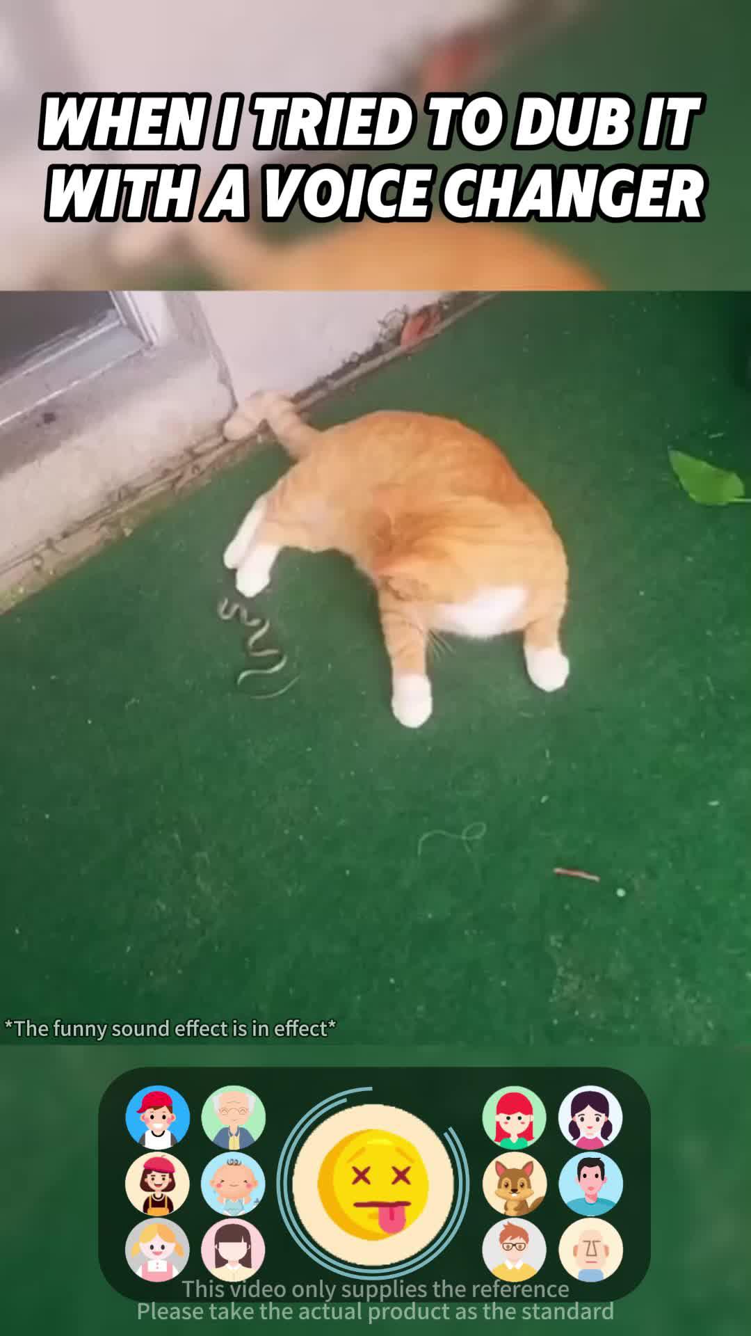 Super hot voice changer, black games, dating chat can change the voice, come and try it!