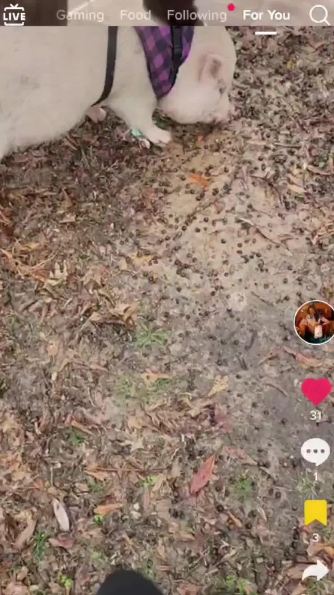 Can you solve the ultimate puzzle?