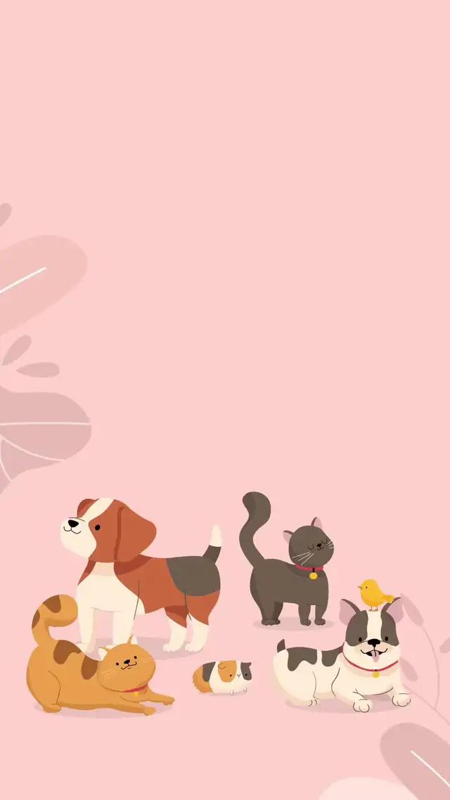 กำลังตามหาสัตว์เลี้ยงอยู่ใช่ไหม ให้ Pecgo ช่วยคุณสิ ทาสหมา ทาสแมว