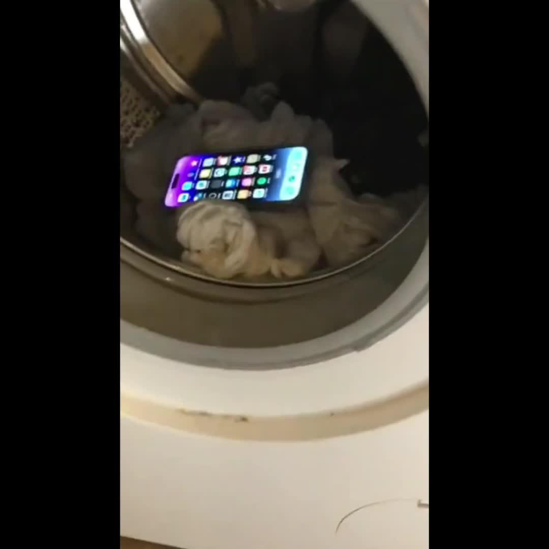 Try to ask AI Chatbot anything now!