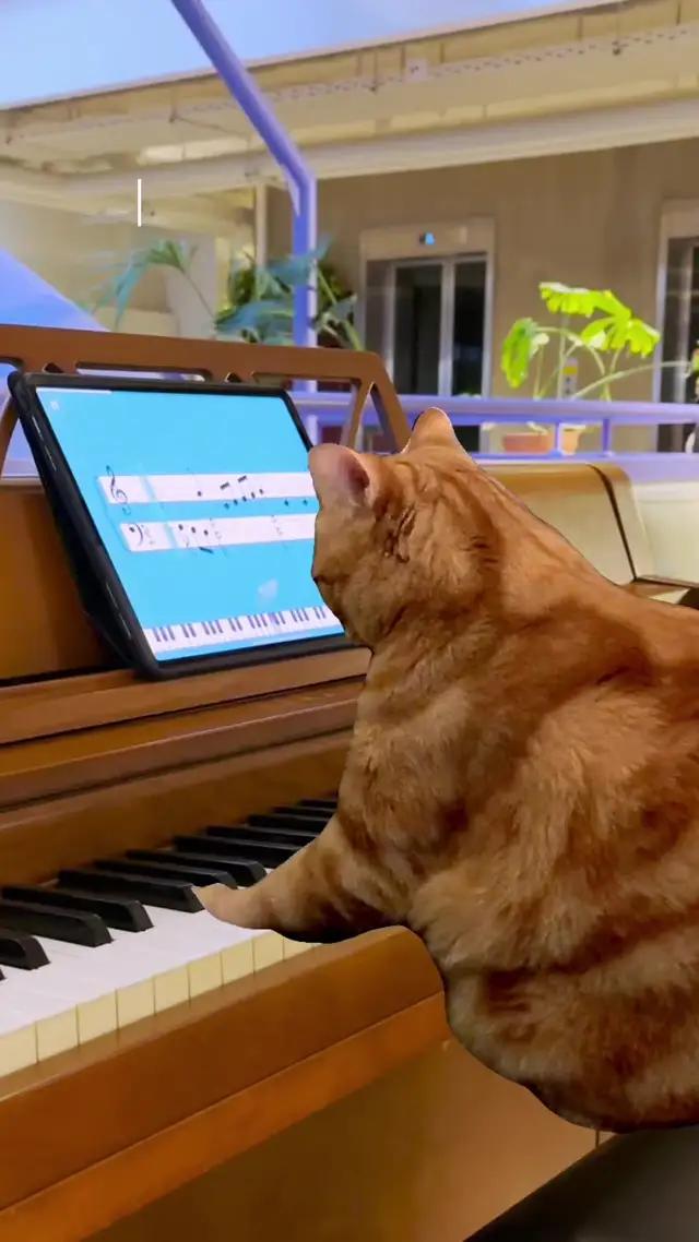 Step by step, learning the basics - from reading sheet music to playing with both hands!