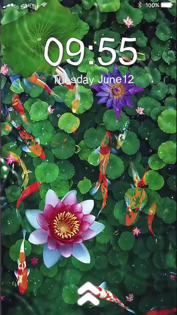 Free app. Download now.