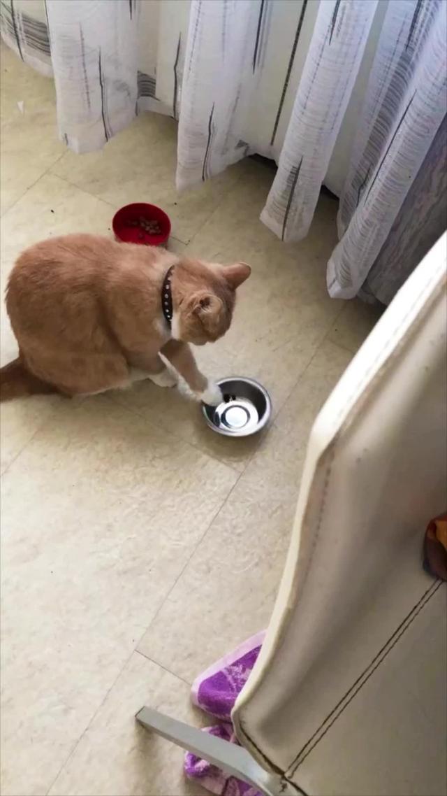 Extra 20% discount for the first 3 orders with code HELLO30