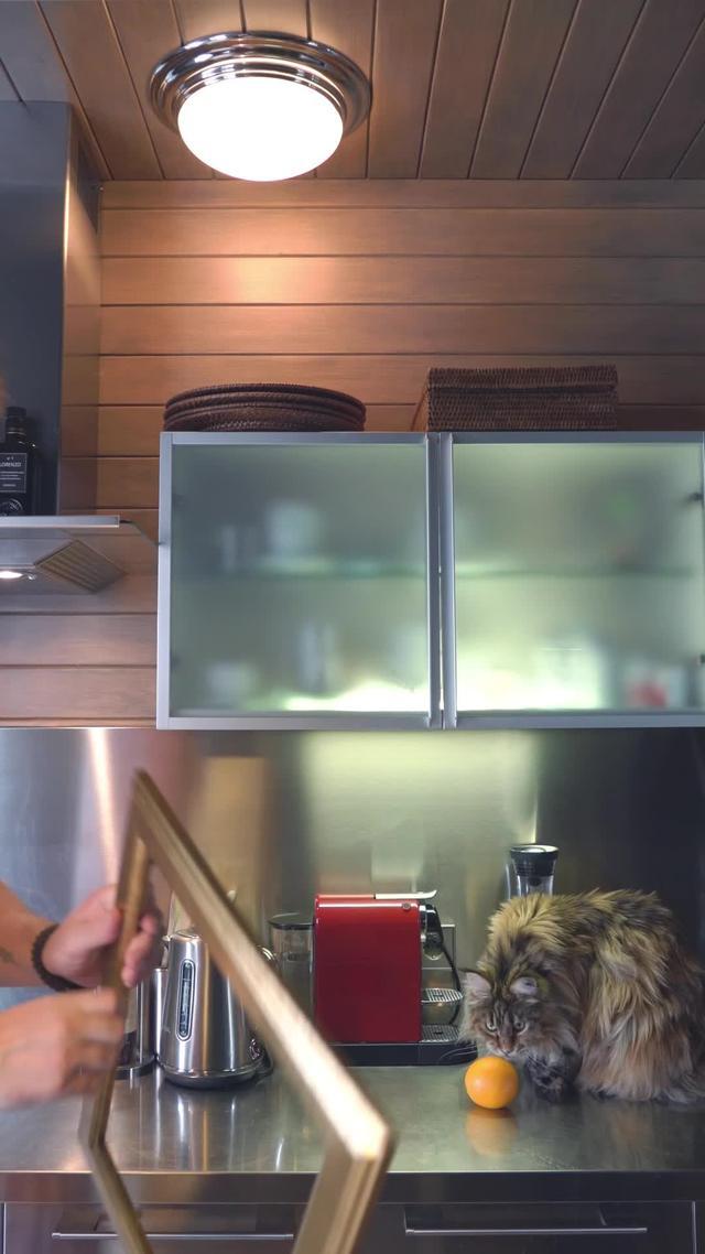 Edit your videos with Splice and go viral!