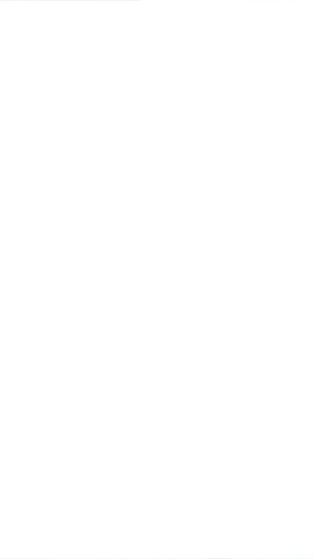 Ein Anime-Film-Spiel