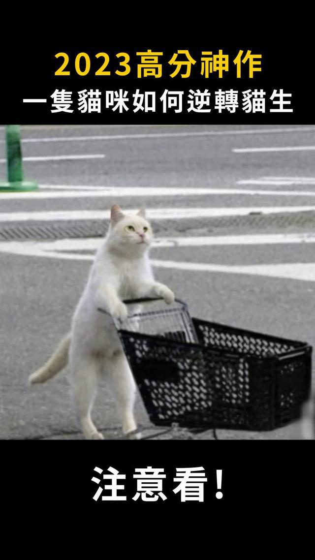 不需要儲值 千萬彩金等你拿