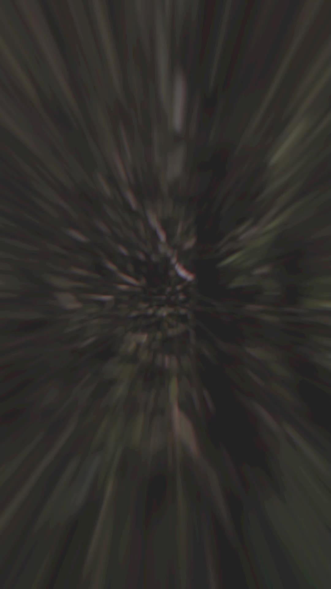 Experience the BEST outdoor content on PHYXTV—anytime, anywhere