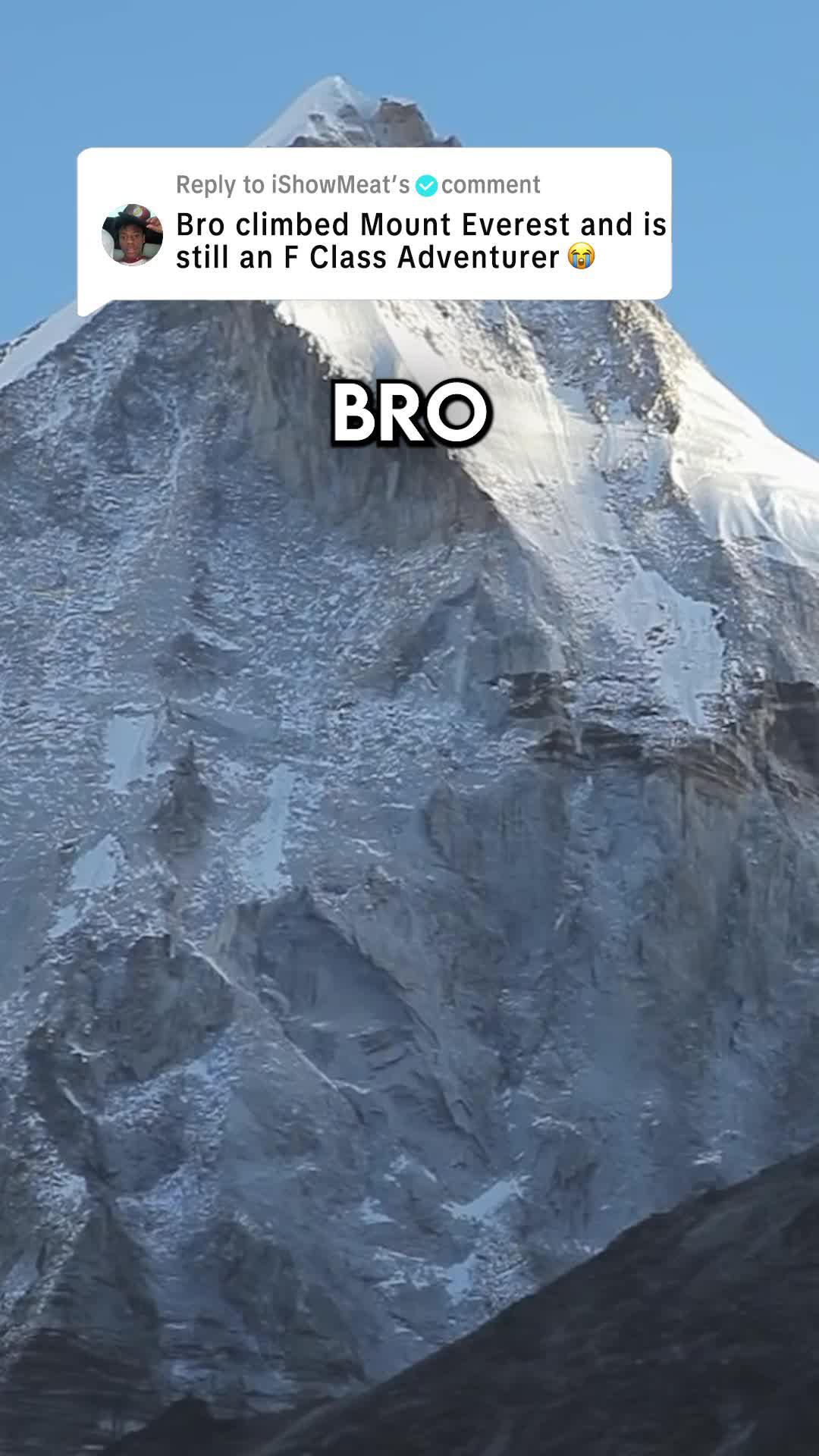 New Server Open!  Adventurers never rest! Continued growth even without Access