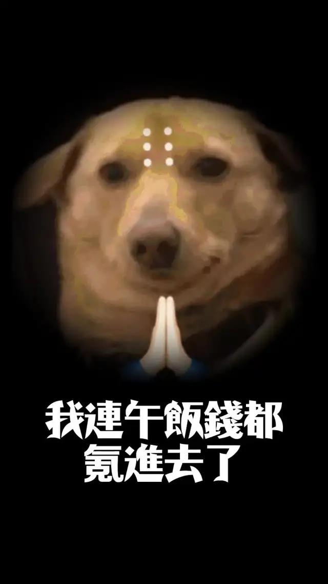 逍遙修仙、天天遇見新樂子！