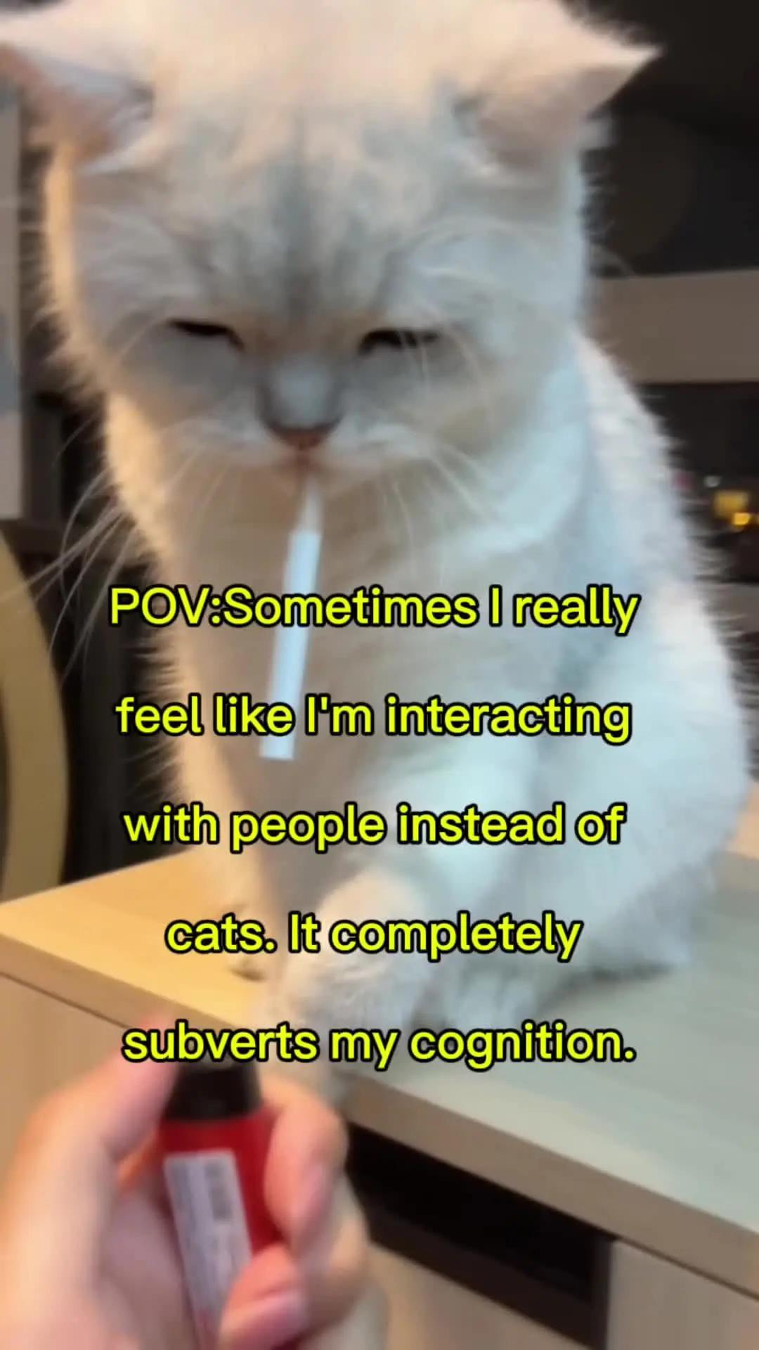 Raise a pet on your lock screen